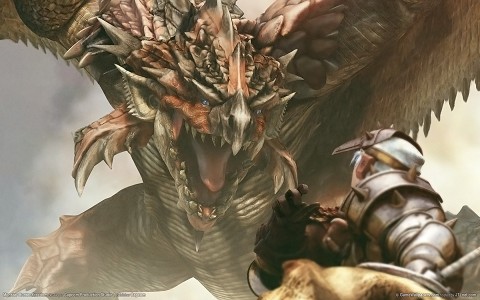 monster hunter wallpaper. Monster Hunter Freedom