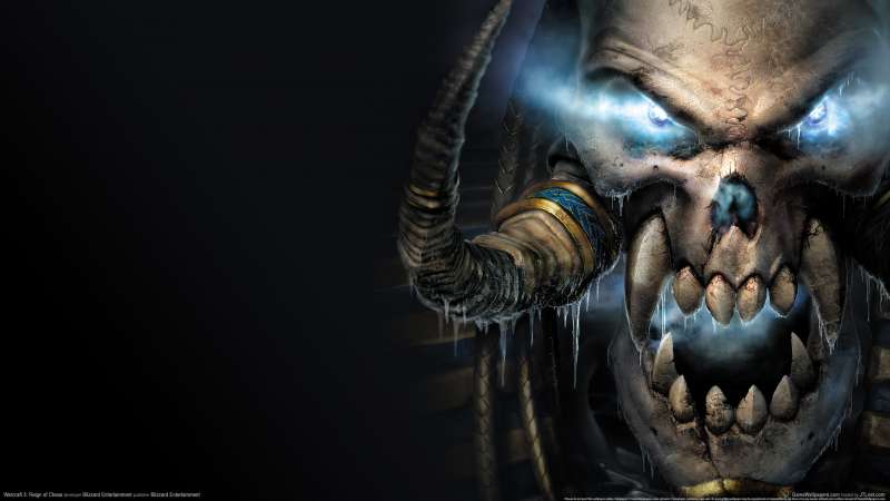 Warcraft 3: Reign of Chaos wallpaper or background