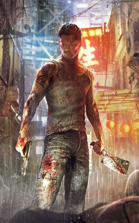 Sleeping Dogs Game