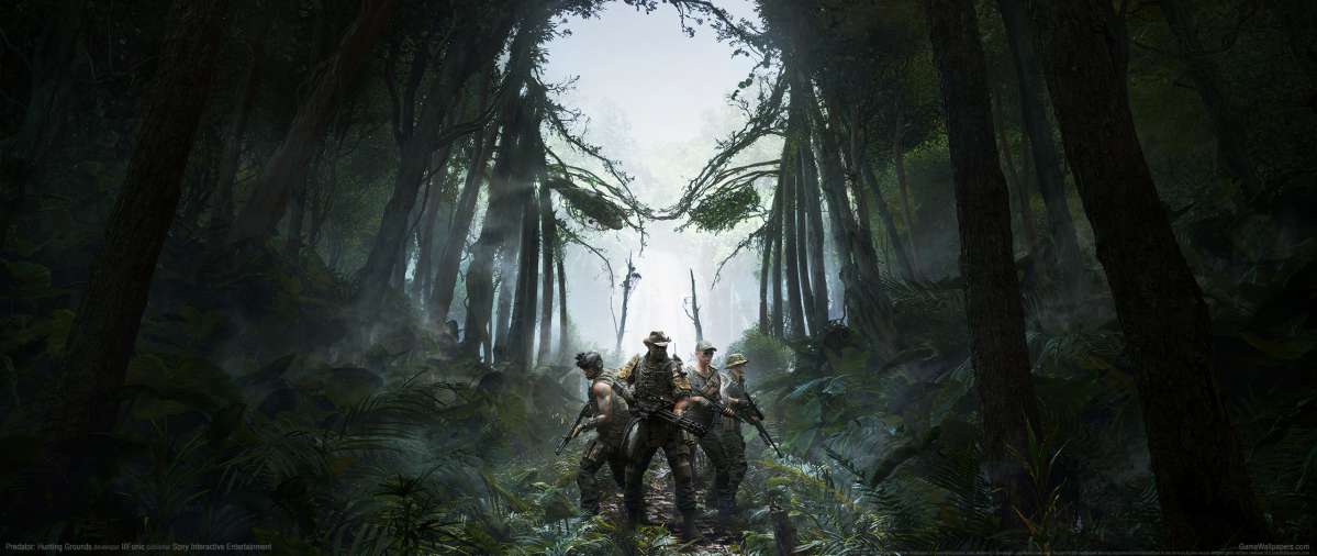 Predator: Hunting Grounds wallpaper or background