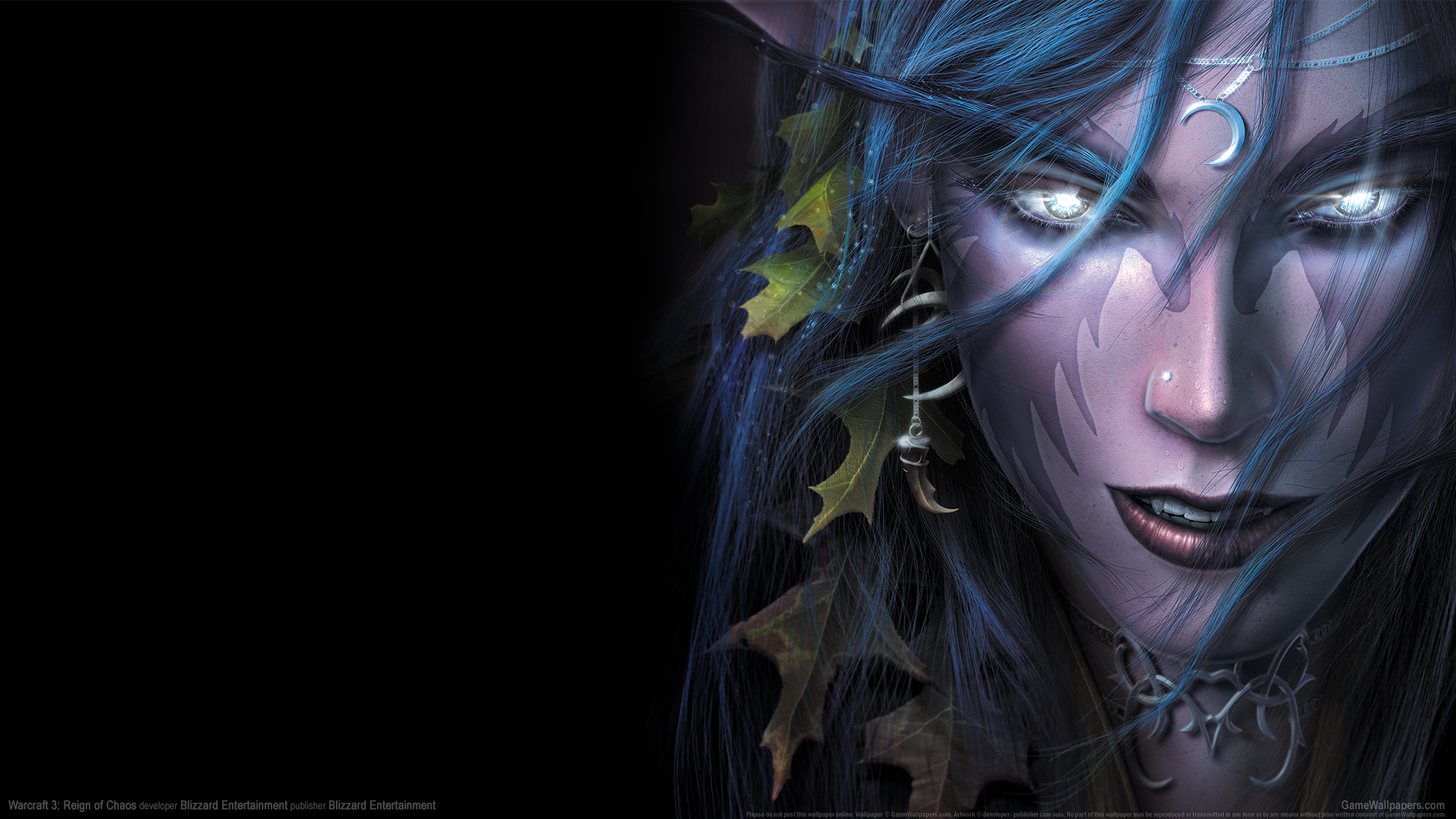 Warcraft 3: Reign of Chaos 1920x1080 achtergrond 23