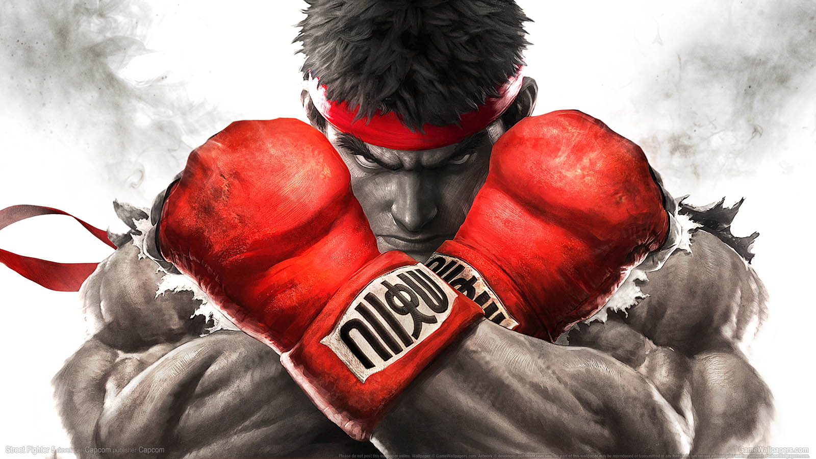 Street Fighter 5 wallpaper 01 1600x900