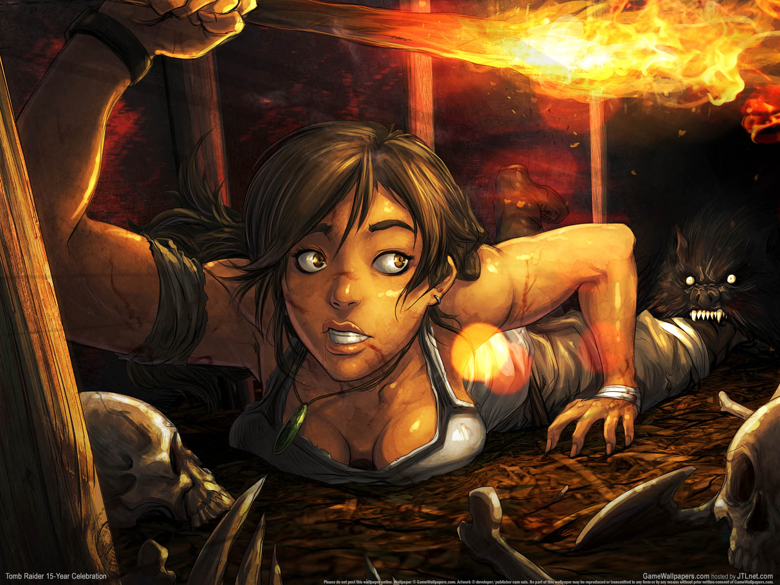 Tomb Raider 15 - Year Celebration wallpaper 01 1600x1200