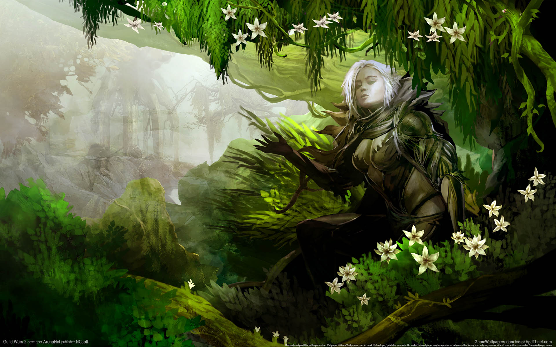 Guild Wars 2 wallpaper 23 1920x1200