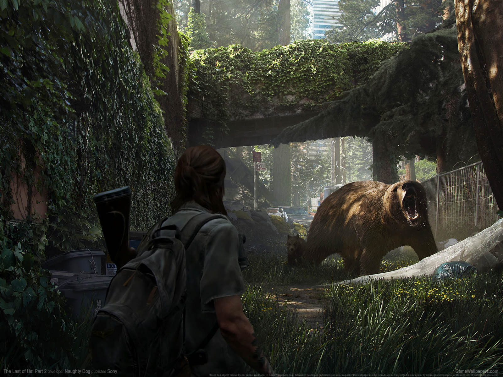 The Last of Us%25253A Part 2 achtergrond 11 1600x1200
